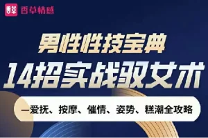 《男性性技宝典视频课》14招实战驭女术
