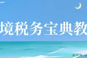 跨境税务宝典教程：跨境电商全球税务处理策略