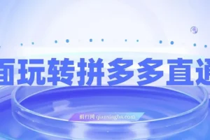 全面玩转拼多多直通车，新老店铺都适用的玩法