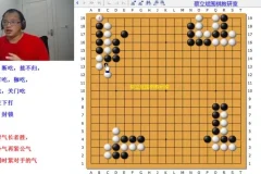 蔡立斌围棋系统课程：从入门到段位强化
