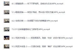 《文旅商家AI自媒体实战宝典》数字化营销策略+流量变现[MP4]