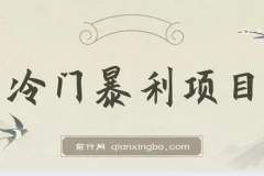 冷门暴利项目，一单利润率可达900%，日入600+适合小白0基础（教程+素材）