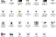 CorelDRAW视频教程(基础篇27节进阶篇23节)包含教程素材