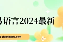 易语言2024最新0基础入门+全流程实战教程，学点网赚必备技术