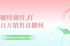 直播特训营，打造百万销售直播间
