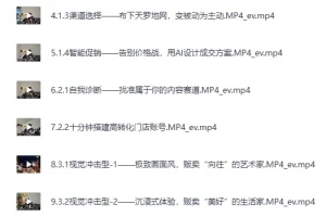 《文旅商家AI自媒体实战宝典》数字化营销策略+流量变现[MP4]