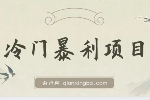 冷门暴利项目，一单利润率可达900%，日入600+适合小白0基础（教程+素材）