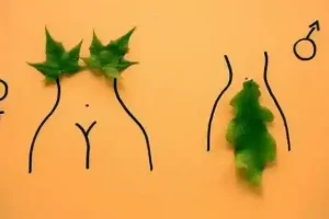 性科学书籍总汇