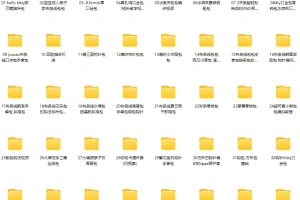 包包编织精品款式100个实例