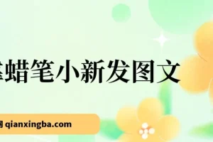 靠蜡笔小新发图文，一单利润几百，小白也能轻松上手