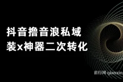 抖音撸音浪私域装x神器二次转化，单日变现超500（详细操作教程）