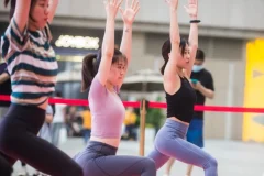 最新keep运动健身教程会员+付费课程合集