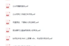 《12月11日信息差合集，副业项目+实战技巧+认知思维》[PDF]