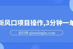 最新风口项目操作，3分钟一单30。日入2000左右，零成本，无脑操作。
