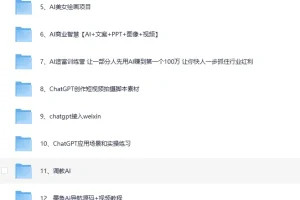 《AI变现实战案例教程大集合》