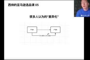 亚马逊选品实战课：西帅教你低成本高转化