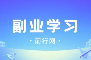 殷斯坦：副业学习