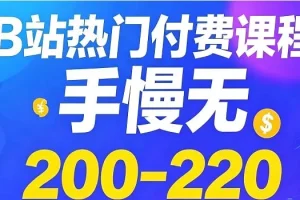 《B站热门付费课程Top200-220》