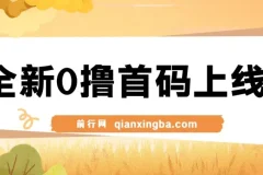 全新0撸首码上线，一个广告3元，市场空白推广无限代