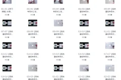 《最用心全面的VIP硬笔书法课程》共250课 手把手教 附可打印控笔素材