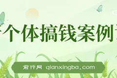 新个体搞钱案例库，可以直接抄作业 如何赚到第一个100w（29节视频+文档）