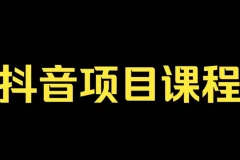 抖音孵化训练课程-教你玩转抖音网络，抖音电商培训打包下载
