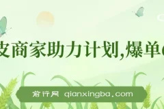 虾皮商家全自动助力计划，爆单玩法6.0.单机直接打爆收益【揭秘】