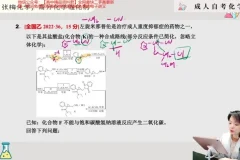 2024张梅高三化学二轮复习：电化学/元素周期律/实验专题精讲
