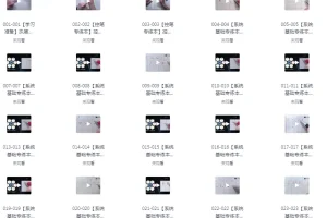 《最用心全面的VIP硬笔书法课程》共250课 手把手教 附可打印控笔素材