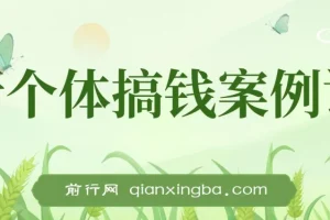 新个体搞钱案例库，可以直接抄作业 如何赚到第一个100w（29节视频+文档）