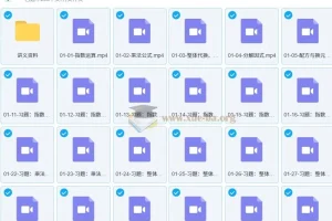 杨哥ai数学 中考培优六大专题课程