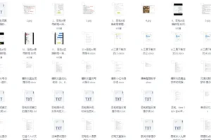 2025豆包AI高阶视频教程 精准提示词合集 大模型通用 附教程资料大全[PDF][3.8GB]