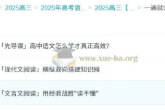 高中语文 2025高三高考语文 一遍就OK 高中语文体系课