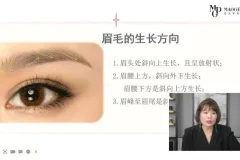 毛戈平亲授：2小时零基础眉毛化妆速成课