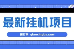 2024最新全自动挂机项目，看广告得收益 小白无脑日入200+ ,可无限放大