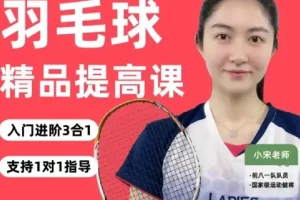 羽毛球3合1精品提高课