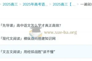 高中语文 2025高三高考语文 一遍就OK 高中语文体系课