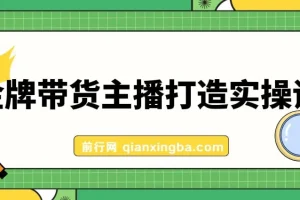 金牌带货主播打造实战课：百万主播 不可追，高效复制 是王道（10节课）