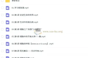 安智深 高中生物 2026高一生物 尖端暑假班 更新中