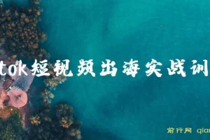 Tiktok短视频出海实战训练营