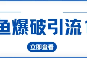 九京闲鱼爆破引流1.0