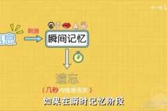 超强记忆力训练：全学科高效提分秘籍