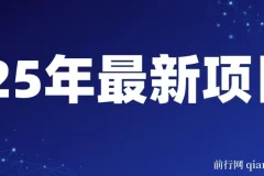一天收益1000+ ,25年开年落地好项目