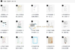 小学六年级 小升初资料大全