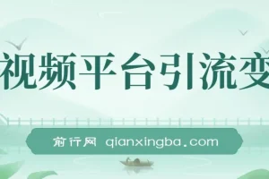 靠视频平台引流变现一个月狂赚5w,最新蓝海小众怀旧漫画赛道,高转化一单29.9