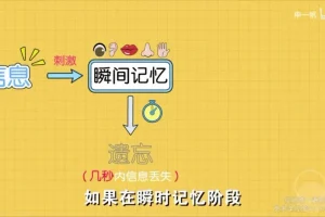 超强记忆力训练：全学科高效提分秘籍