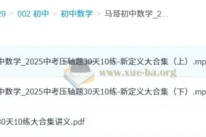 马哥初中数学 2025中考压轴题30天10练-新定义大合集
