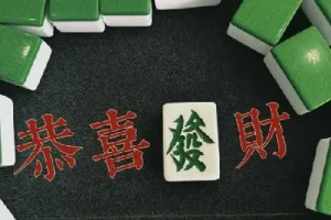 刘坚强 麻将学技术训练与技巧（完结）