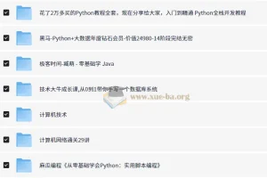 编程开发付费课程合集大全（含python，java，算法，web等技术）【653.8G】