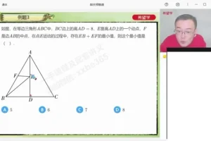 2025春初二数学A+班（人教版）朱韬主讲-勾股定理/函数/期末押题
